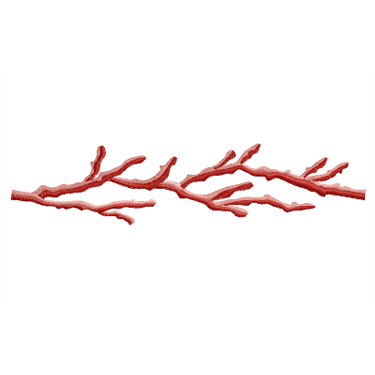 coral-375×375