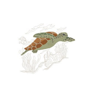 turtle-375×375