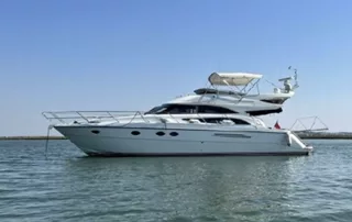 princess-50