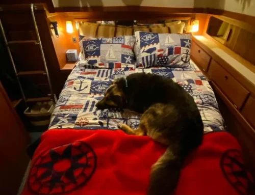 Make Your Cruise More Comfortable With a New Boat Mattress